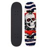 Skateboard Completo Powell Peralta 7.75"