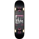 Skateboard Globe Ramones 8.0